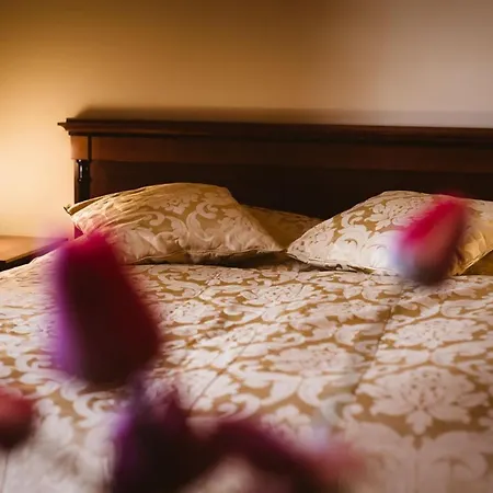Strk Hotel 4*