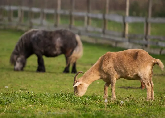 Strk Hotel Murska Sobota